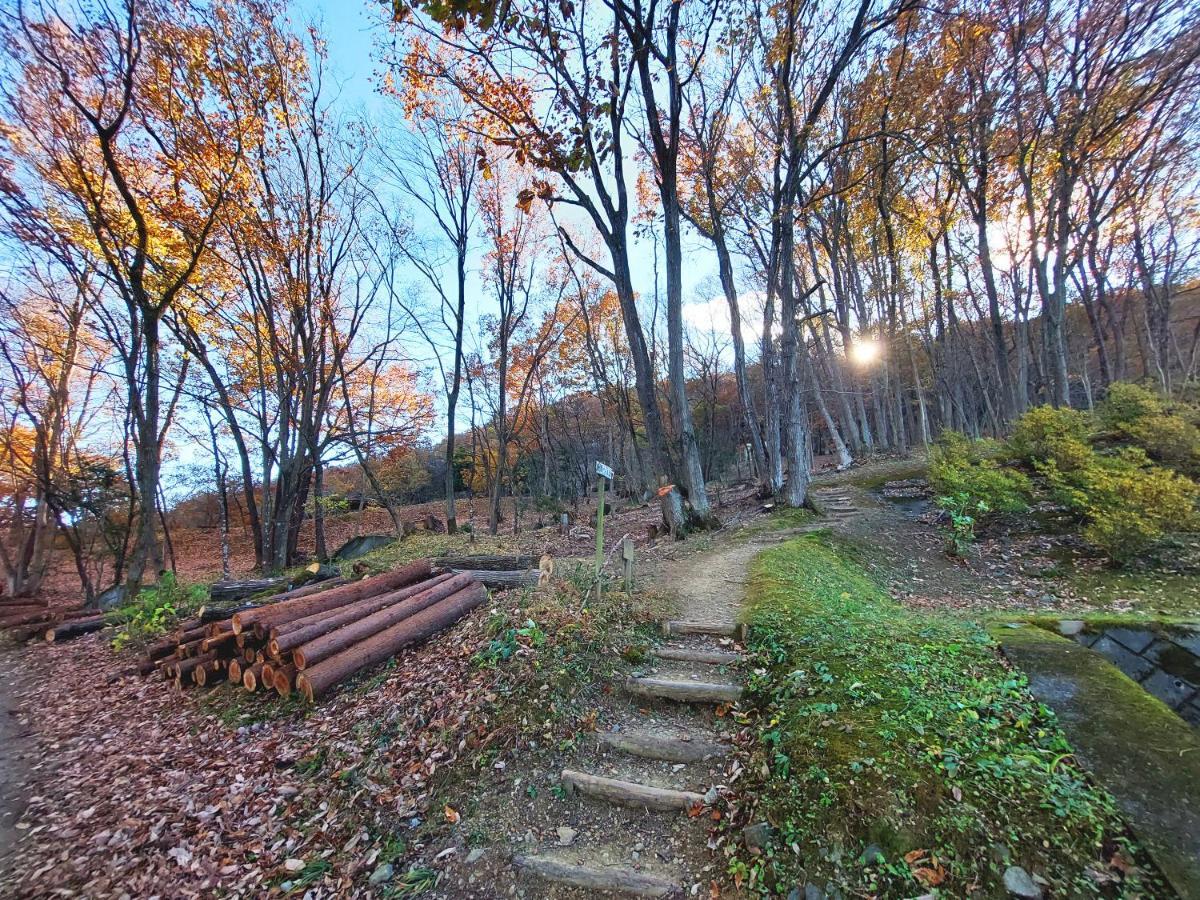 Ikoi No Mura Heritage Minoyama Minano Exteriör bild
